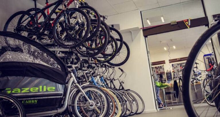 de verschillende soorten elektrische fietsen