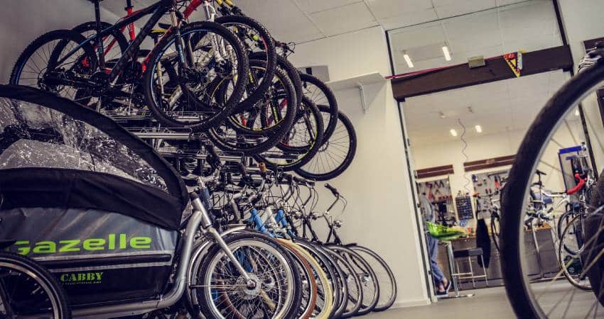 de verschillende soorten elektrische fietsen