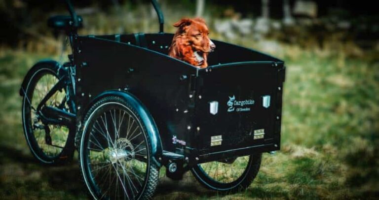 Beste bakfiets voor hond