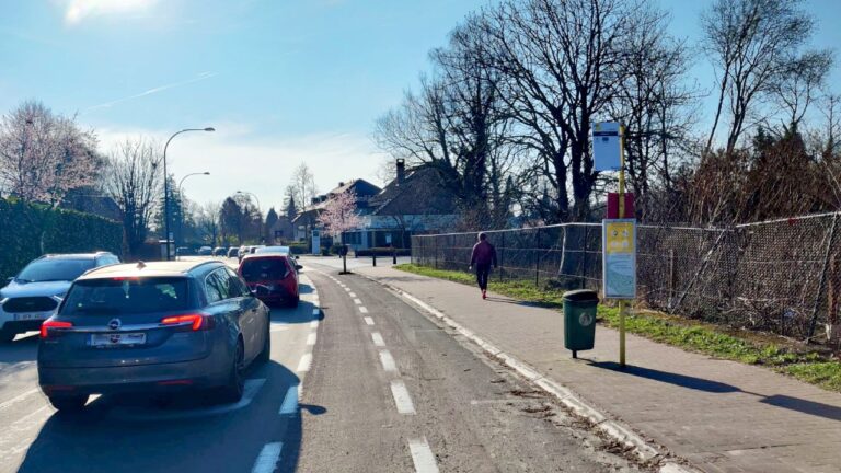 voordelen elektrische fiets